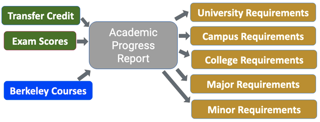 academic-progress-report-central-evaluation-unit